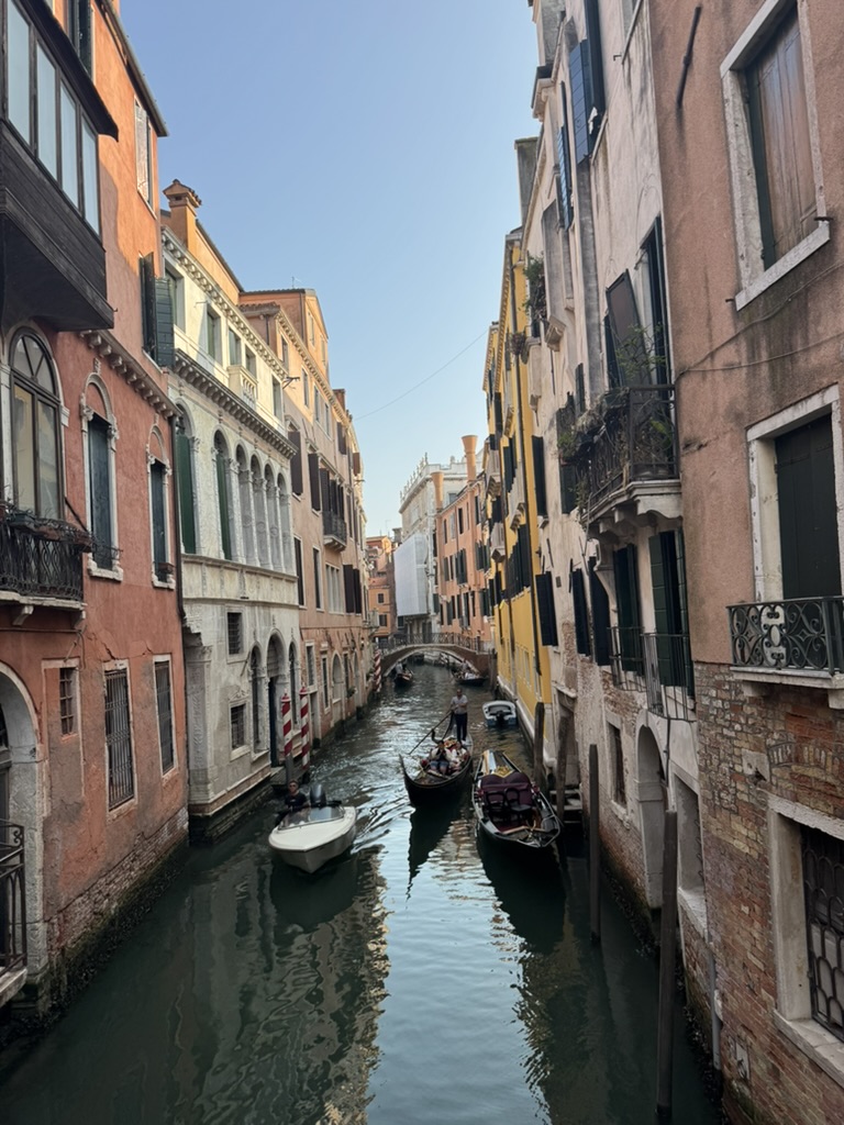 Awesome picture taken by me.